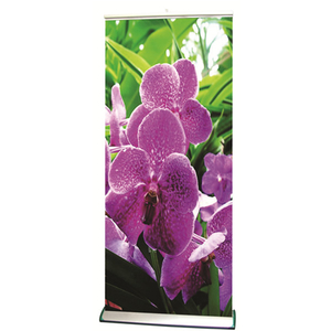 Modern Premium Single Sided Roll Up Banner