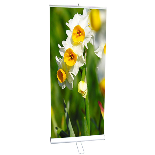 Dual Sided Roll Up Banner