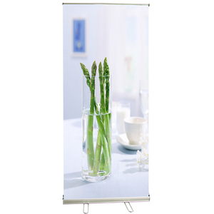 Portable Single Sided Roll Up Banner