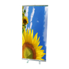 Standard Roll Up Banner