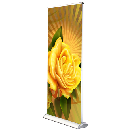 Portable Double Sided Roll Up Banner