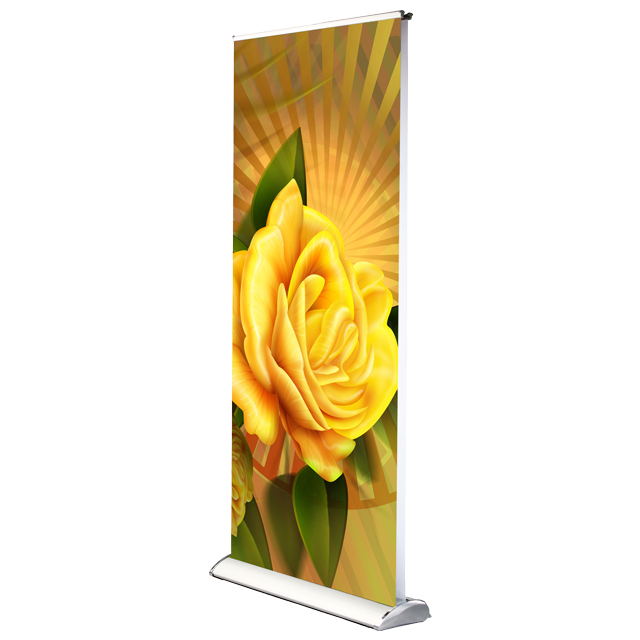 Portable Double Sided Roll Up Banner