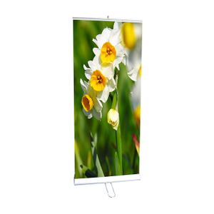 Dual Sided Roll Up Banner